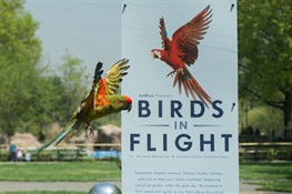 JetBlue Presents “Birds in Flight” at WCS’s Bronx Zoo